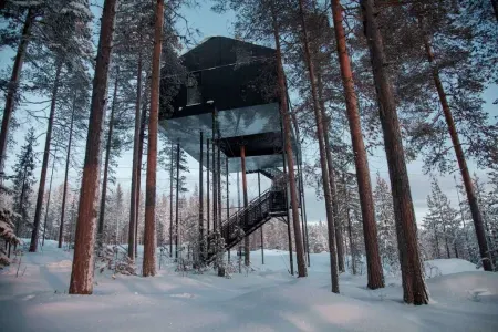 tree hotel sweden